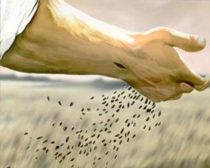 Ilustração: Mão de Jesus em primeiro plano, lançando sementes sobre um campo desfocado